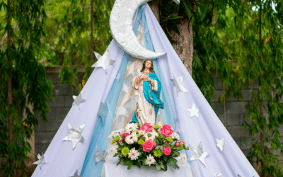 ¿Quién causa tanta alegría? ¡La Asunción de María!